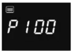 P 100