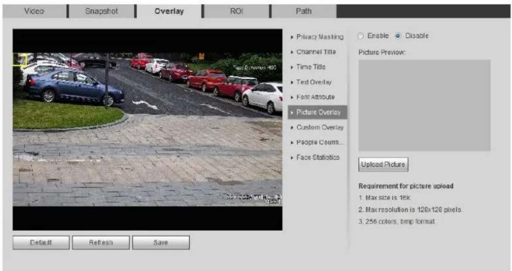 Dahua Technology Pro IPC-HFW5241E-ZE - Configure Picture Overlay - 2