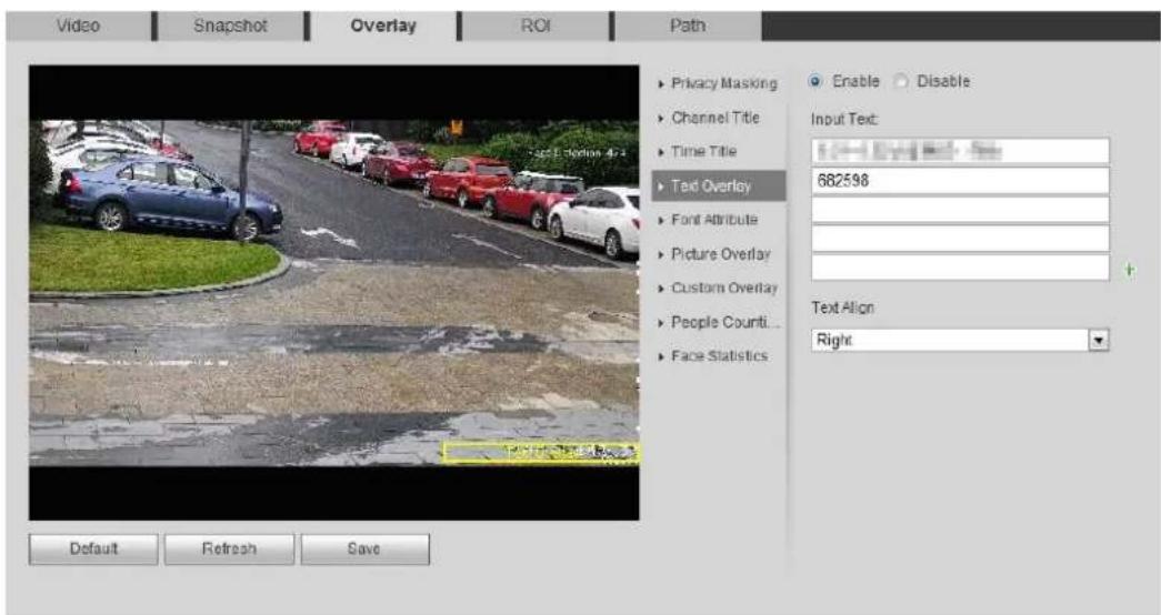 Dahua Technology Pro IPC-HFW5241E-ZE - Configure Text Overlay - 2