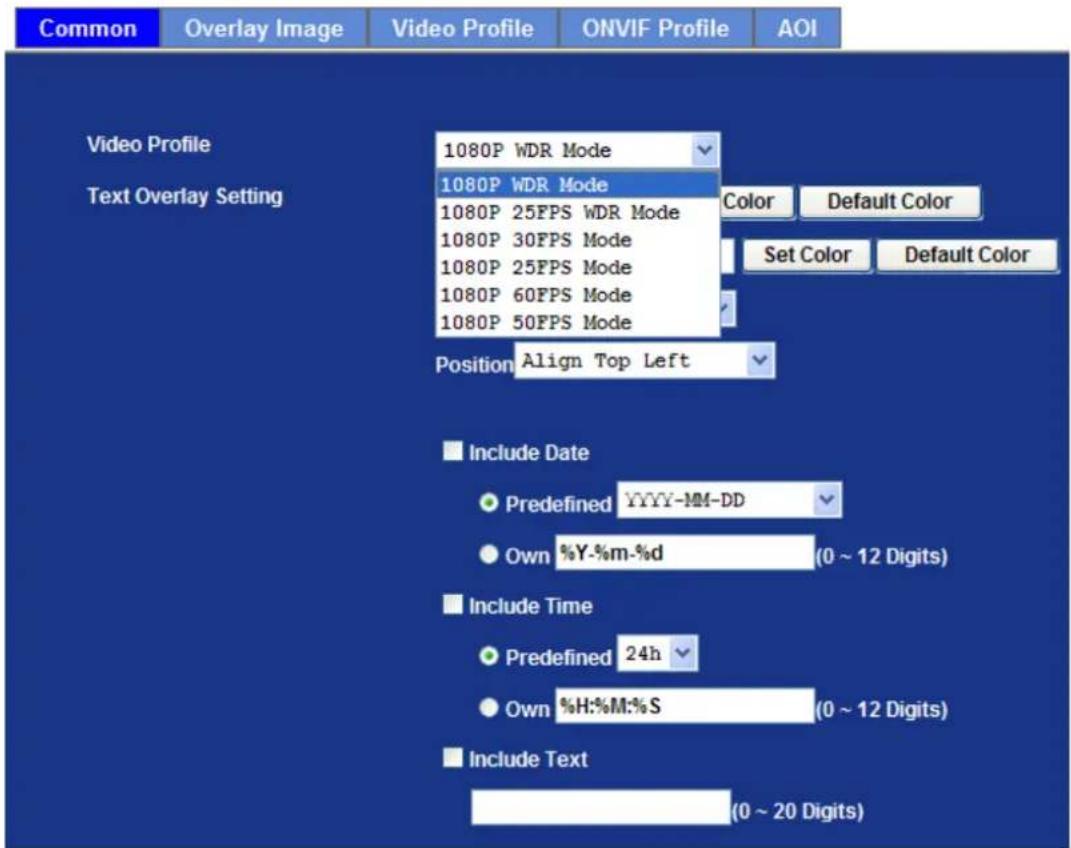 Common Overlay Image Video Profile ONVIF Profile AOI Video Profile Text Overlay Setting 1080P WDR Mode 1080P WDR Mode 1080P 25FPS WDR Mode 1080P 30FPS Mode 1080P 25FPS Mode 1080P 60FPS Mode 1080P 50FPS Mode Color Default Color Set Color Default Color Position Align Top Left Include Date Predefined YYYY-MM-DD Own %Y-%m-%d (0 ~ 12 Digits) Include Time Predefined 24h Own %H:%M:%S (0 ~ 12 Digits) Include Text (0 ~ 20 Digits)