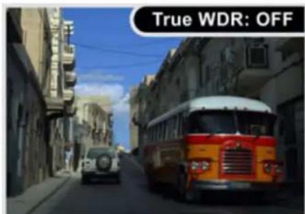 True WDR: OFF