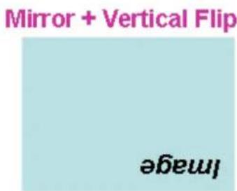 Mirror + Vertical Flip Image
