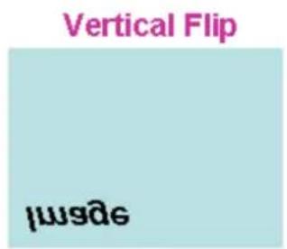Vertical Flip psg