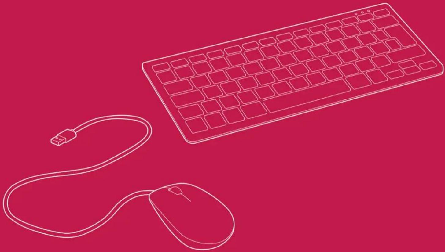 Raspberry Pi SC0198 - Raspberry Pi keyboard and hub Raspberry Pi mouse - 1