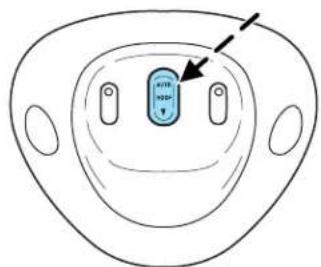 FORD F-350 Super Duty (2005) - One-touch moon roof (if equipped) - 2