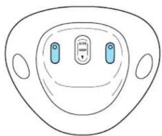 FORD F-350 Super Duty (2005) - MAP LAMPS (IF EQUIPPED) - 1
