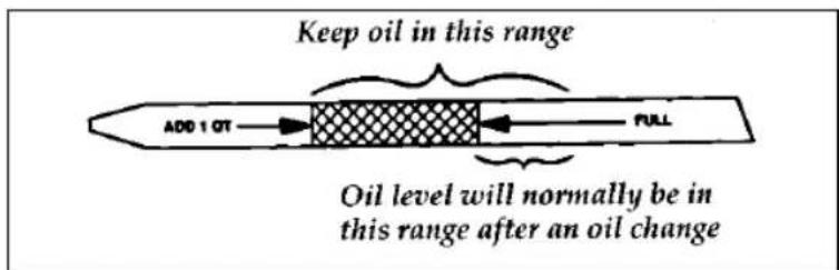 FORD Thunderbird (1997) - Checking and Adding Engine Oil - 2