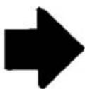 FORD Thunderbird (1997) - Turn Signal Indicator Lights - 2