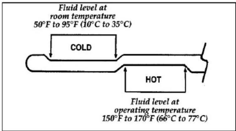 FORD Thunderbird (1997) - Adding Automatic Transmission Fluid - 1