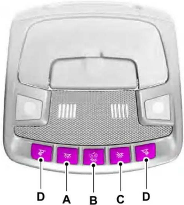 FORD F-250 Super Duty (2017) - Front Interior Lamps - 2