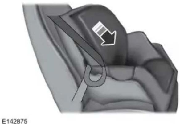 FORD F-350 Super Duty (2019) - Using Lap and Shoulder Belts (Except Front Center Position of Super Cab and Crew Cab) - 8