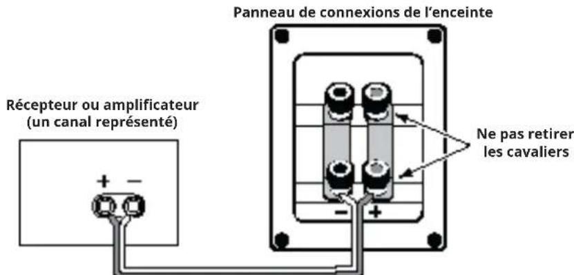 Récepteur ou amplificateur (un canal représenté) Panneau de connexions de l'enceinte Ne pas retirer les cavaliers