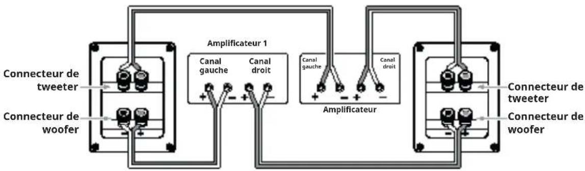 Connecteur de tweeter Connecteur de woofer Amplificateur 1 Canal gauche Canal droit + - + Canal gauche Canal droit Amplificateur Connecteur de tweeter Connecteur de woofer