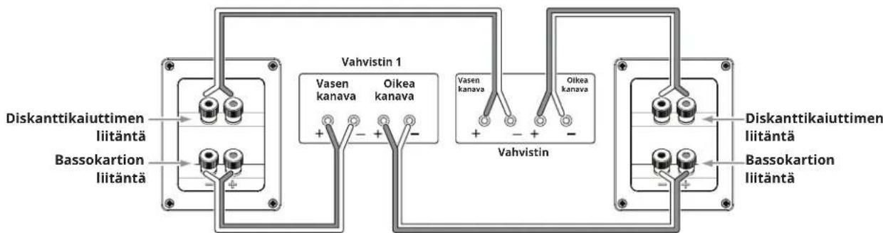 Diskantitikaiuttimen liitäntä Bassokartion liitäntä Vahvistin 1 Vasen kanava Oikea kanava + - + - Vahvistin Diskantitikaiuttimen liitäntä Bassokartion liitäntä