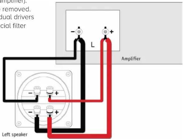ELAC Debut 2.0 C6.2 - OUTRIGGER PLATE & SPIKE INSTALLATION - 7