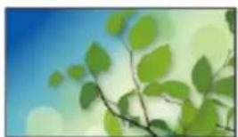 PANASONIC TX-65EXT786 - Information - 2