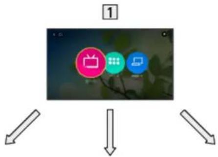 PANASONIC TX-55EXF687 - Information - 1