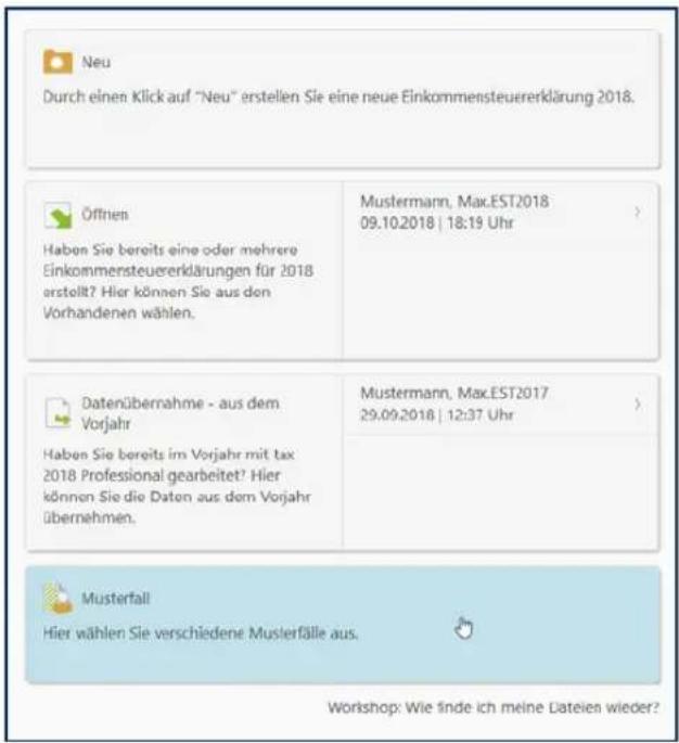 Buhl Tax 2019 - Die Musterfälle - 1