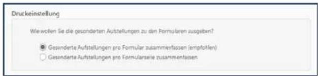 Buhl Tax 2019 - Bedienanleitung - 2