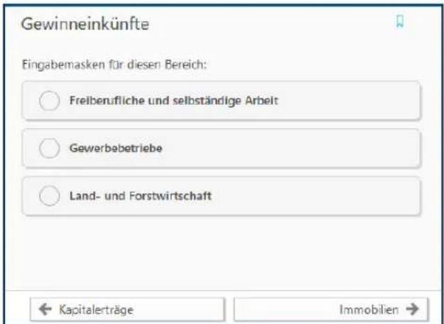 Buhl Tax 2019 - Übersichtsseiten zu mehreren Eingabemaske - 1