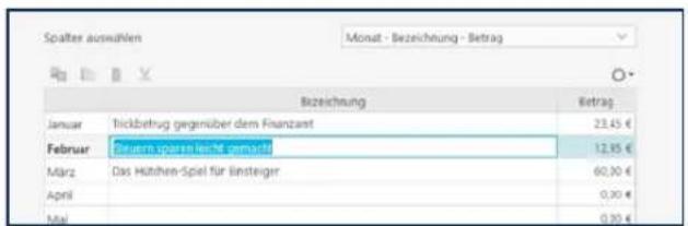 Buhl Tax 2019 - Bedienanleitung - 2