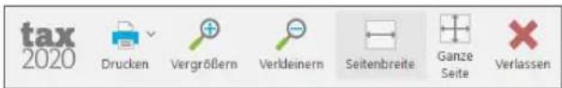 Buhl Tax 2020 - Die Symbolleiste - 1