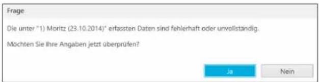 Buhl Tax 2020 - Schwerwiegende Fehler - 1
