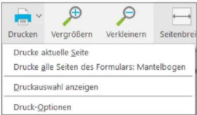 Buhl Tax 2020 - Die Symbolleiste - 2