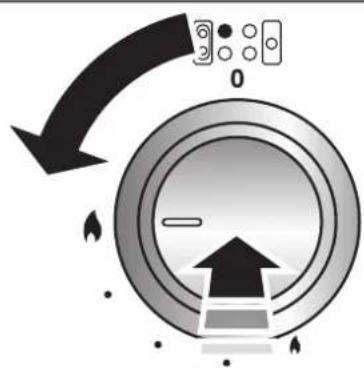 RANGEMASTER NEX110SODFFSS/C - Cooker Overview - 2