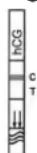 Cleartest hCG - Negativ: - 1