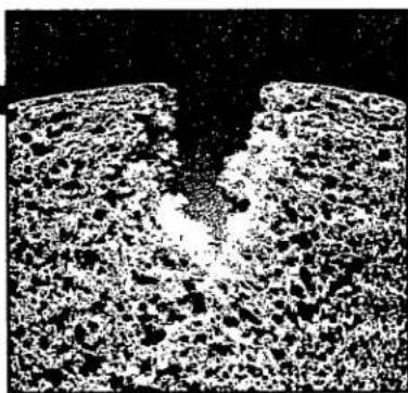 Breadman TR845 - HEALTHY BREAD RECIPES - 1