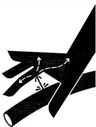 North Star 1573021 - Maintenance Mode - 1
