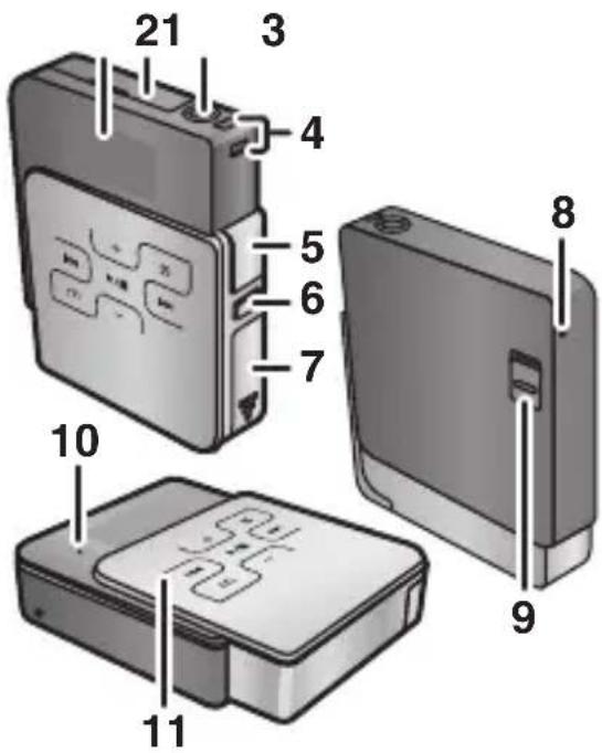 21 3 4 5 6 7 8 9 10 11