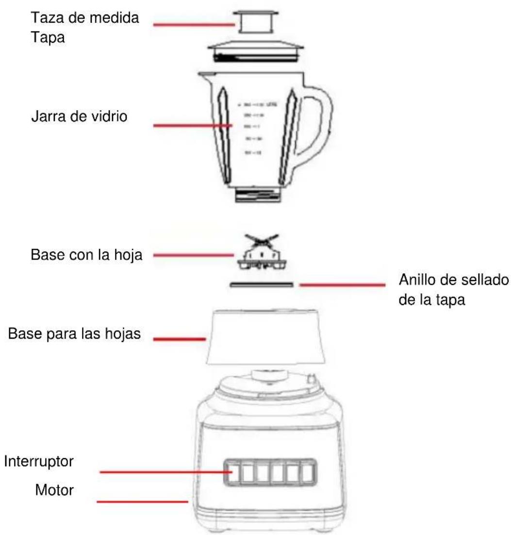 Taza de medida Tapa Jarra de vidrio Base con la hoja Anillo de sellado de la tapa Base para las hojas Interruptor Motor