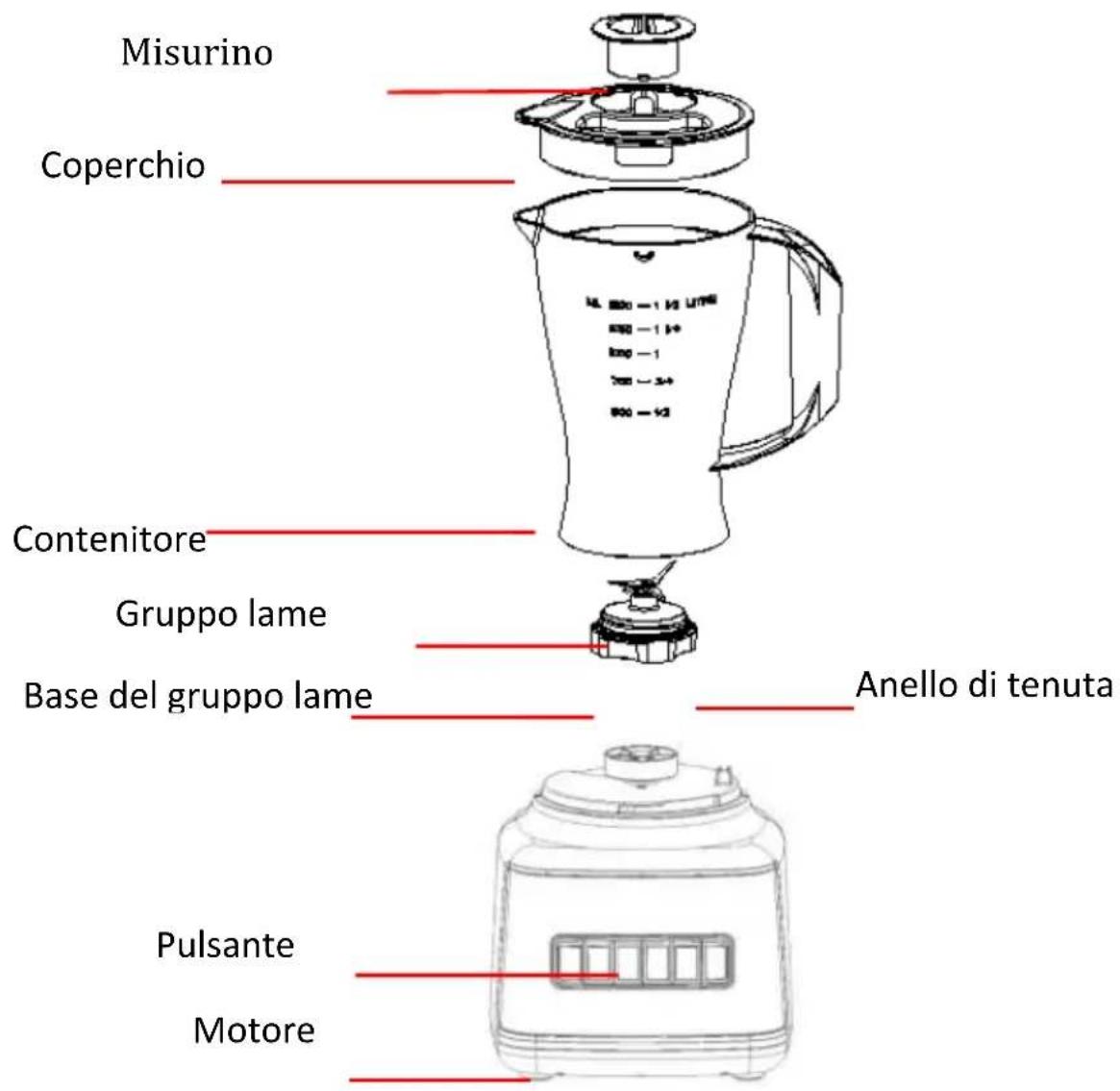 Misurino Coperchio Contenitore Gruppo lame Anello di tenuta Base del gruppo lame Pulsante Motore