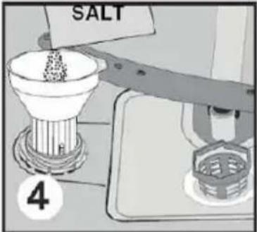 SALT 4