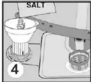 SALT 4