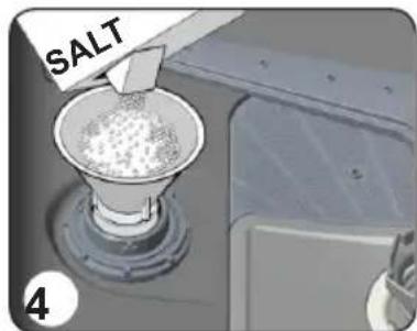 SALT 4