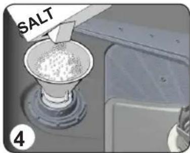 SALT 4