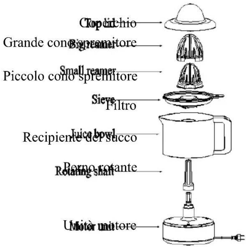 Top eichio Grande cono spremitore Piccolo cono spremitore Small reamer Sieve Filtro Juice bowl Recipiente del succo Perno rotante Rotating shaft Umi tor unitore
