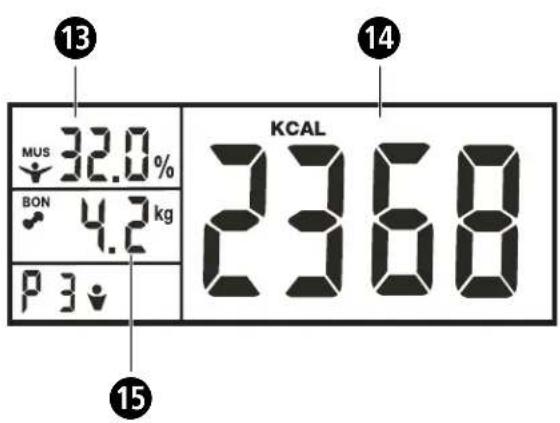 Welby BF801-BK BL - 3 - 3