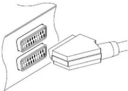 TOPFIELD TF 7710 HCCI - Verwendung des SCART-Anschlusses - 1