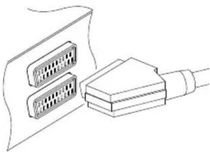 TOPFIELD TF 6000 Fe - Verwendung des SCART-Anschlusses - 1