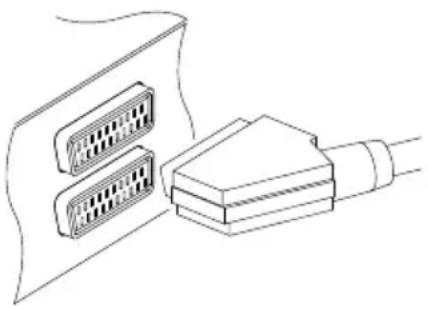 TOPFIELD TF 5400PVR - Verwendung des SCART-Anschlusses - 1