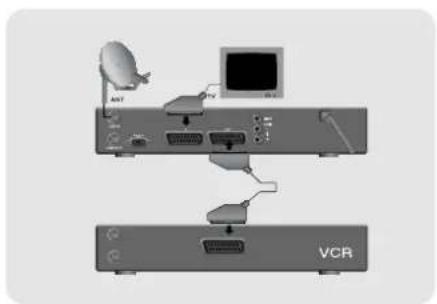 TOPFIELD TF 3000 FEi - Anschluß von Fernseher, Videorekorder und Stereoanlage - 2