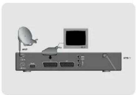 TOPFIELD TF 3000 FEi - Anschluß von Fernseher, Videorekorder und Stereoanlage - 1