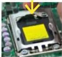 Supermicro X8DAH+ - Installing an LGA 1366 Processor - 3
