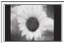 SAMSUNG PS-50Q96HD - ◆ A still image displayed too long may cause permanent damage to the PDP Panel. - 1