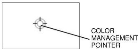 COLOR MANAGEMENT POINTER