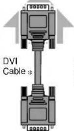 DVI Cable *